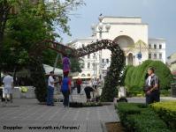 Imagine atasata: Timfloralis - 2015.05.20 - 03.jpg